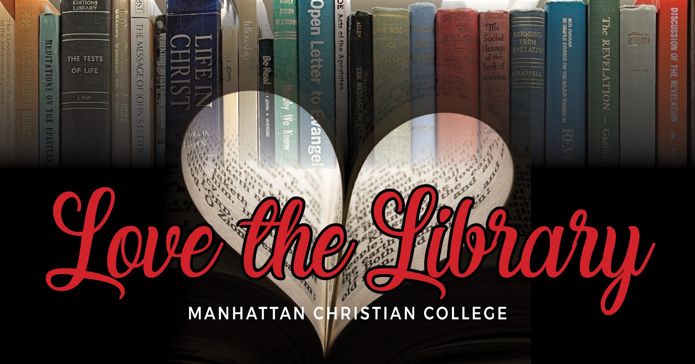 Vlbook Review: How India’s Leading Digital Platform Is Transforming Online Book Publishing