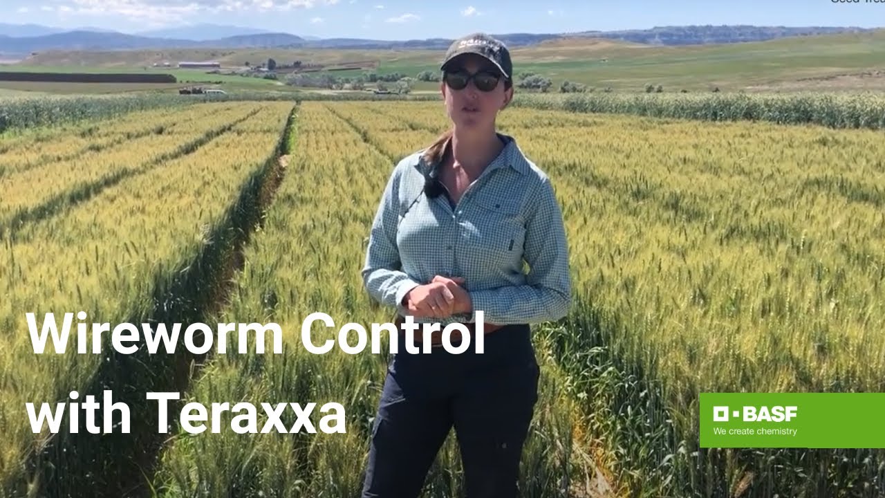 Discover the Power of Reddy Anna ID: Features, Benefits, and Community Impact